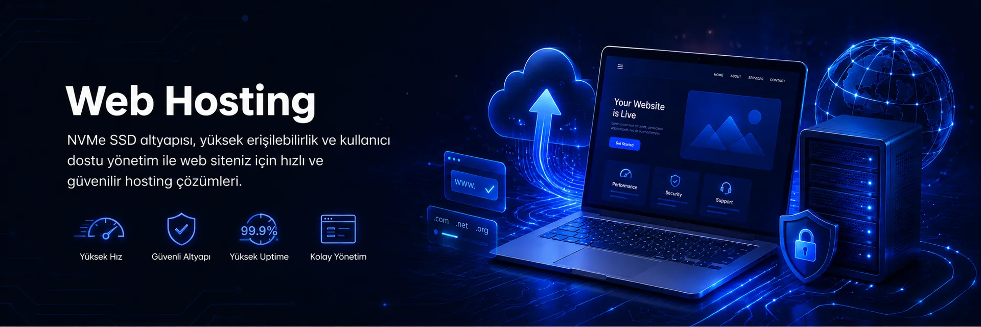 Web Hosting Paketleri - SSD Plesk Panel